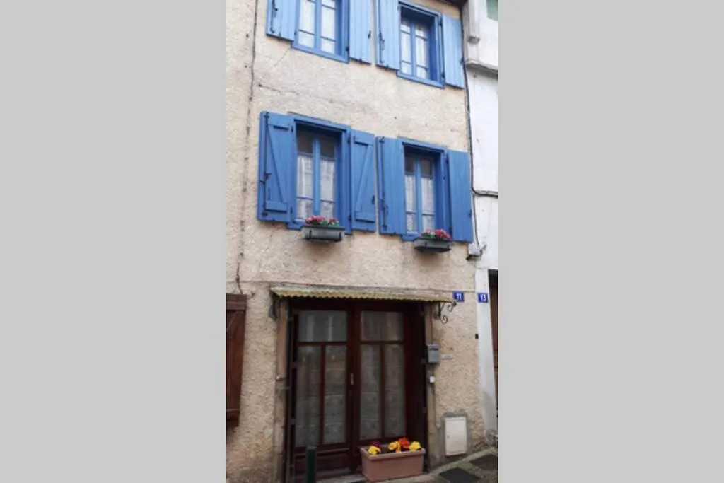 La Maison Des Penitents Blancs Βίλα Mirepoix
